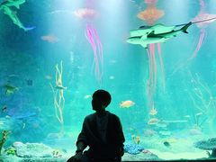 -沈阳海洋探索中心