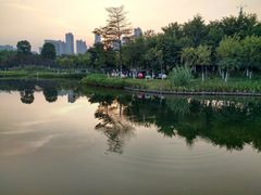 -映月湖公园