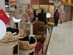 -帕帕拉兹宠物(亚洲旗舰店)