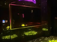 -星聚会KTV(龙湖狮山天街店)