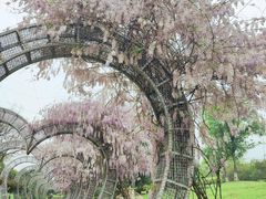 -武汉园博园(武汉自然博物馆)
