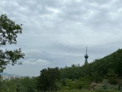 -青藏高原野生动物园