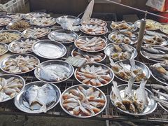 -大湾区中央湿地公园