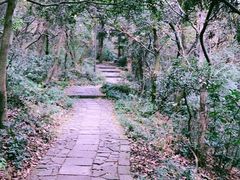 -杭州半山国家森林公园