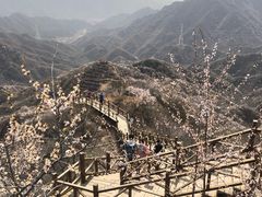 -大岭沟猕猴桃谷风景区