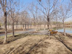 -东郊湿地公园