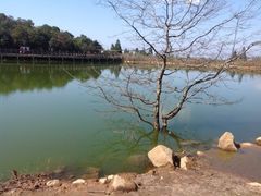 -永泰中国云顶