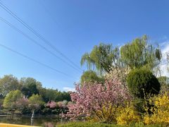 -石家庄市植物园