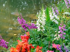 -人民公园(罗湖区)