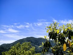 -蒋氏故居