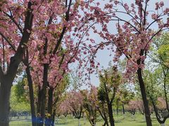 -汉长安城未央宫国家考古遗址公园