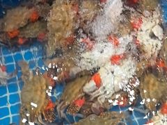 -隐厨·海鲜餐厅(恒通路店)