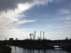 -上海长兴岛郊野公园