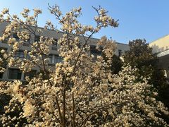 -安徽工业大学(秀山校区)