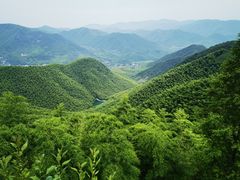 -莫干山风景区