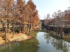 -黄陂区野村谷景区