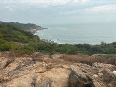 -广东惠东海龟国家级自然保护区