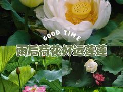 -黄兴公园