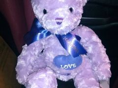 android_upload_pic-济州岛泰迪熊博物馆