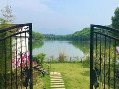 -福建鲤鱼洲酒店