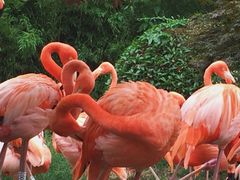 -青岛森林野生动物世界