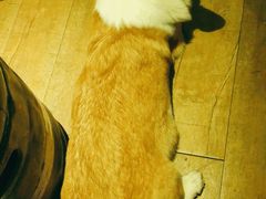 -M-3 PUB(创智天地店)