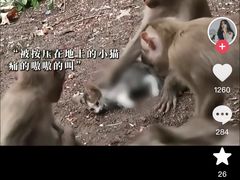 -昆明动物园