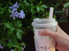 -一叶觅山(半边街店)