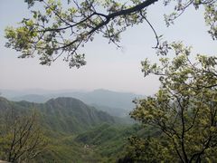 -大岭沟猕猴桃谷风景区