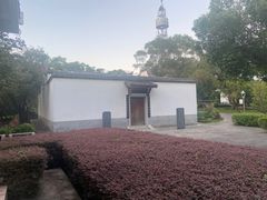 -金鸡山公园