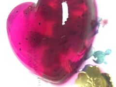 -墨脱石锅椰子鸡•香草鸭•东山羊(大东海店)