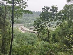 -芦仙山景区-飞越丛林探险乐园