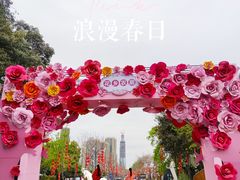 -三圣花乡旅游区