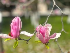 -西安外国语大学(长安校区)