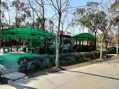 -上海海湾国家森林公园