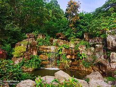 -广州神农草堂中医药博物馆