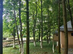 -象山森林公园