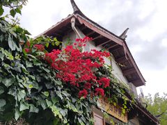 -饵块食光·云南有机手作饵块