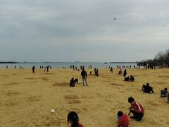 -瑶湖郊野森林公园