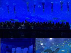 -上海海昌海洋公园-停车场