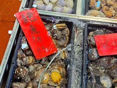 -湛江渔港·大排档(乐园路总店)