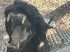 -昆明动物园