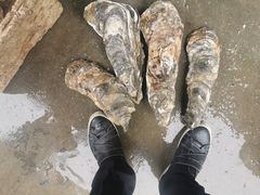 -十四涌水产中心