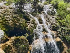 -九寨沟-树正沟
