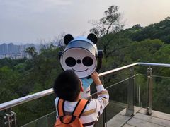 -金鸡山公园