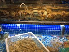 -小厨师·二十年沈家门小海鲜(百井坊巷店)