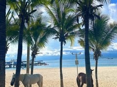 -三亚西岛海洋文化旅游区