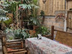 -Jungle Kitchen