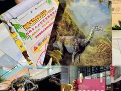 -鹏欣水游城