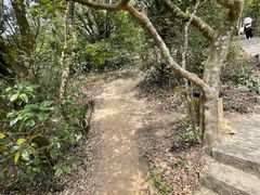 -梧桐山风景名胜区